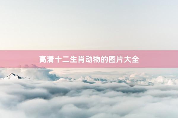 高清十二生肖动物的图片大全