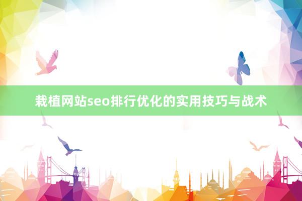栽植网站seo排行优化的实用技巧与战术
