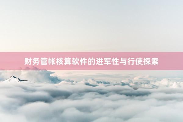 财务管帐核算软件的进军性与行使探索